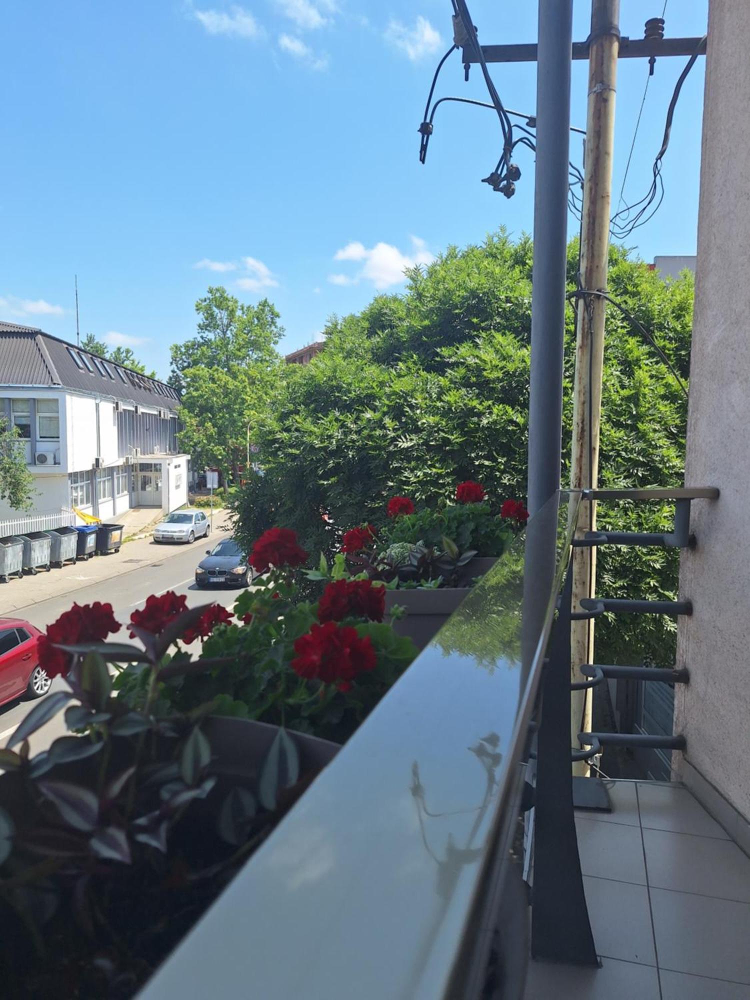 Garni Hotel Ema Kragujevac Esterno foto