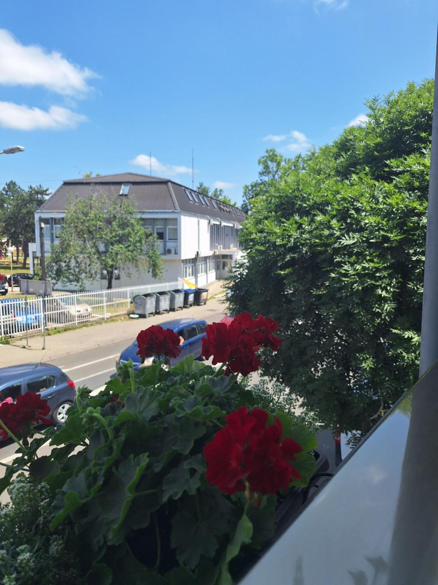 Garni Hotel Ema Kragujevac Esterno foto