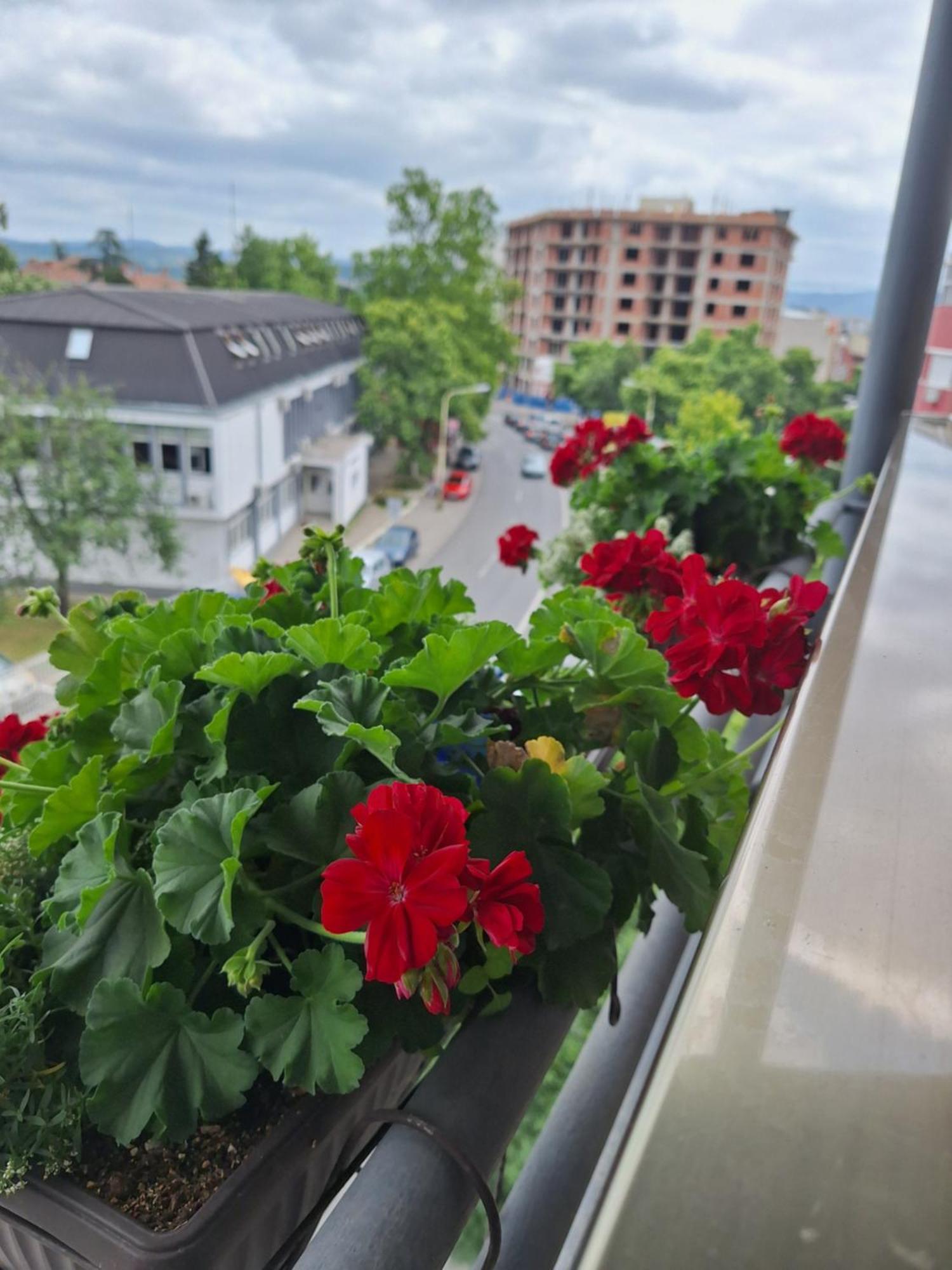 Garni Hotel Ema Kragujevac Esterno foto